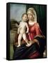 Virgin and Child, Between 1496 and 1499-Giovanni Battista Cima Da Conegliano-Framed Stretched Canvas