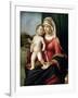 Virgin and Child, Between 1496 and 1499-Giovanni Battista Cima Da Conegliano-Framed Giclee Print