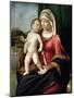 Virgin and Child, Between 1496 and 1499-Giovanni Battista Cima Da Conegliano-Mounted Giclee Print