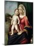 Virgin and Child, Between 1496 and 1499-Giovanni Battista Cima Da Conegliano-Mounted Giclee Print