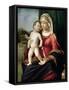 Virgin and Child, Between 1496 and 1499-Giovanni Battista Cima Da Conegliano-Framed Stretched Canvas