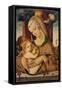 Virgin and Child, C.1480-Carlo Crivelli-Framed Stretched Canvas