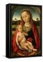 Virgin and Child, c.1487-Hans Memling-Framed Stretched Canvas