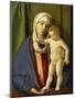 Virgin and Child, C.1488-90-Giovanni Bellini-Mounted Giclee Print