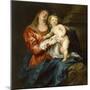 Virgin and Child, C.1630-32 (Oil on Canvas)-Anthony Van Dyck-Mounted Giclee Print