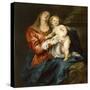 Virgin and Child, C.1630-32 (Oil on Canvas)-Anthony Van Dyck-Stretched Canvas