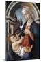 Virgin and Child, C1444-1510-Sandro Botticelli-Mounted Giclee Print
