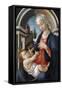 Virgin and Child, C1444-1510-Sandro Botticelli-Framed Stretched Canvas