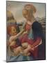 Virgin and Child, c1470, (1911)-Andrea del Verrocchio-Mounted Giclee Print