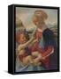 Virgin and Child, c1470, (1911)-Andrea del Verrocchio-Framed Stretched Canvas
