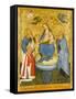 Virgin and Child Crowned by Angels, with St John the Evangelist, St Anthony Abbot, and Donor, 1400-Pavian School-Framed Stretched Canvas