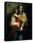 Virgin and Child from Madonna of the Harpies with Saint John Baptist and St Francis C.1517 Detail-Andrea del Sarto-Framed Stretched Canvas