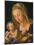 Virgin and Child Holding a Half-Eaten Pear, 1512-Albrecht Dürer-Mounted Giclee Print