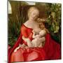 Virgin and Child "Madonna with the Iris," 1508 (Detail)-Albrecht Dürer-Mounted Premium Giclee Print