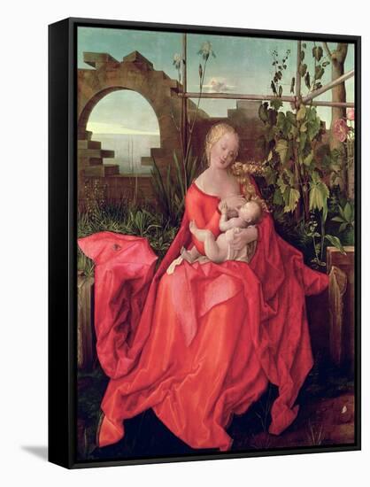 Virgin and Child "Madonna with the Iris," 1508-Albrecht Dürer-Framed Stretched Canvas