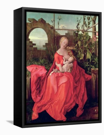 Virgin and Child "Madonna with the Iris," 1508-Albrecht Dürer-Framed Stretched Canvas