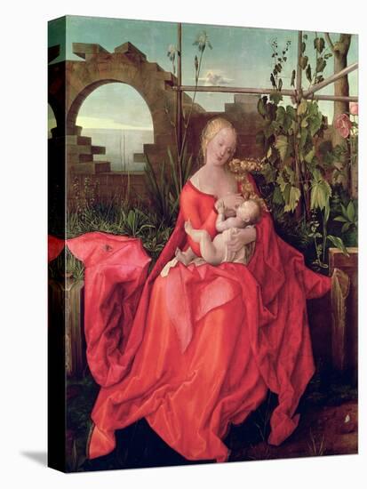 Virgin and Child "Madonna with the Iris," 1508-Albrecht Dürer-Stretched Canvas