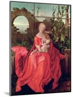 Virgin and Child "Madonna with the Iris," 1508-Albrecht Dürer-Mounted Giclee Print