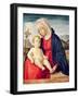 Virgin and Child (Oil on Board)-Giovanni Battista Cima Da Conegliano-Framed Giclee Print