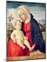Virgin and Child (Oil on Board)-Giovanni Battista Cima Da Conegliano-Mounted Giclee Print