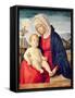 Virgin and Child (Oil on Board)-Giovanni Battista Cima Da Conegliano-Framed Stretched Canvas