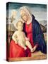 Virgin and Child (Oil on Board)-Giovanni Battista Cima Da Conegliano-Stretched Canvas