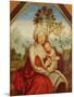 Virgin and Child (Oil on Panel)-Quentin Massys or Metsys-Mounted Giclee Print