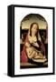 Virgin and Child (Panel)-Jan II Provost-Framed Stretched Canvas