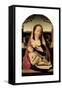 Virgin and Child (Panel)-Jan II Provost-Framed Stretched Canvas