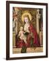 Virgin and Child (Panel)-Alonso Berruguete-Framed Giclee Print