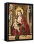 Virgin and Child (Panel)-Alonso Berruguete-Framed Stretched Canvas