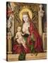 Virgin and Child (Panel)-Alonso Berruguete-Stretched Canvas