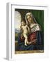 Virgin and Child Par Cima Da Conegliano, Giovanni Battista (Ca. 1459-1517), C. 1500 - Oil on Wood,-Giovanni Battista Cima Da Conegliano-Framed Giclee Print