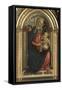 Virgin and Child (the Madonna of the Roses)-Sandro Botticelli-Framed Stretched Canvas