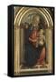 Virgin and Child (the Madonna of the Roses)-Sandro Botticelli-Framed Stretched Canvas