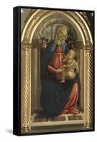 Virgin and Child (the Madonna of the Roses)-Sandro Botticelli-Framed Stretched Canvas