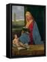 Virgin and Child (The Tallard Madonna), 15th Century-Giorgione-Framed Stretched Canvas