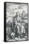 Virgin and Child with a Monkey, 1506-Albrecht Dürer-Framed Stretched Canvas