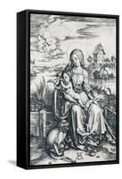 Virgin and Child with a Monkey, 1506-Albrecht Dürer-Framed Stretched Canvas