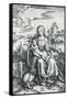 Virgin and Child with a Monkey, 1506-Albrecht Dürer-Framed Stretched Canvas