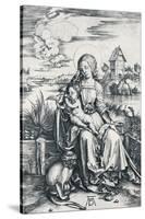 Virgin and Child with a Monkey, 1506-Albrecht Dürer-Stretched Canvas