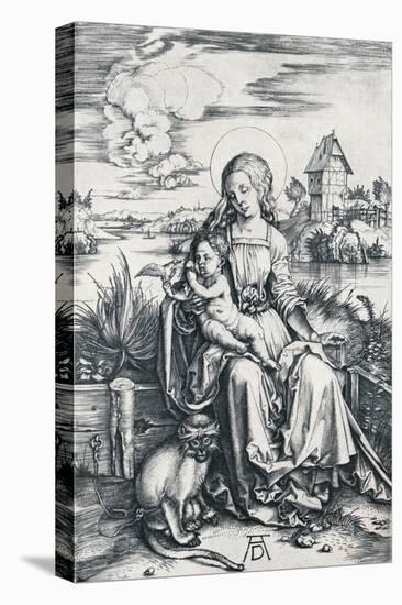 Virgin and Child with a Monkey, 1506-Albrecht Dürer-Stretched Canvas