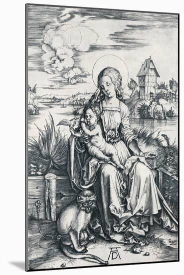 Virgin and Child with a Monkey, 1506-Albrecht Dürer-Mounted Giclee Print