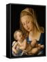 Virgin and Child with a Pear, 1512-Albrecht Dürer-Framed Stretched Canvas