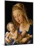 Virgin and Child with a Pear, 1512-Albrecht Dürer-Mounted Giclee Print