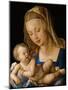 Virgin and Child with a Pear-Albrecht Dürer-Mounted Giclee Print