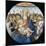 Virgin and Child with Eight Angels-Sandro Botticelli-Mounted Giclee Print