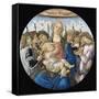 Virgin and Child with Eight Angels-Sandro Botticelli-Framed Stretched Canvas