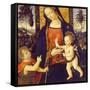 Virgin and Child with John the Baptist as a Boy, 1490-1500-Bernardino Pinturicchio-Framed Stretched Canvas