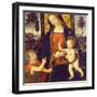 Virgin and Child with John the Baptist as a Boy, 1490-1500-Bernardino Pinturicchio-Framed Giclee Print